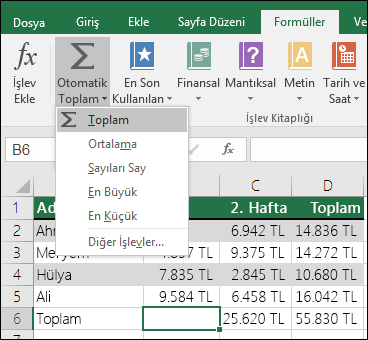 Excel otomatik toplama işlemi yapma