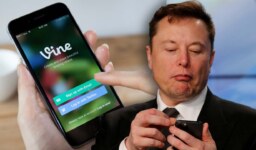 Elon Musk, Vine’ı Yeniden Hayata Geçirme Peşinde!