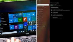 Windows 10 Sürücü Güncelleme Rehberi: Adım Adım Kılavuz
