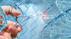 Genetik Teknoloji ile Hayatı Değiştiren 10 Kullanım