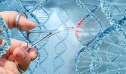 Genetik Teknoloji ile Hayatı Değiştiren 10 Kullanım