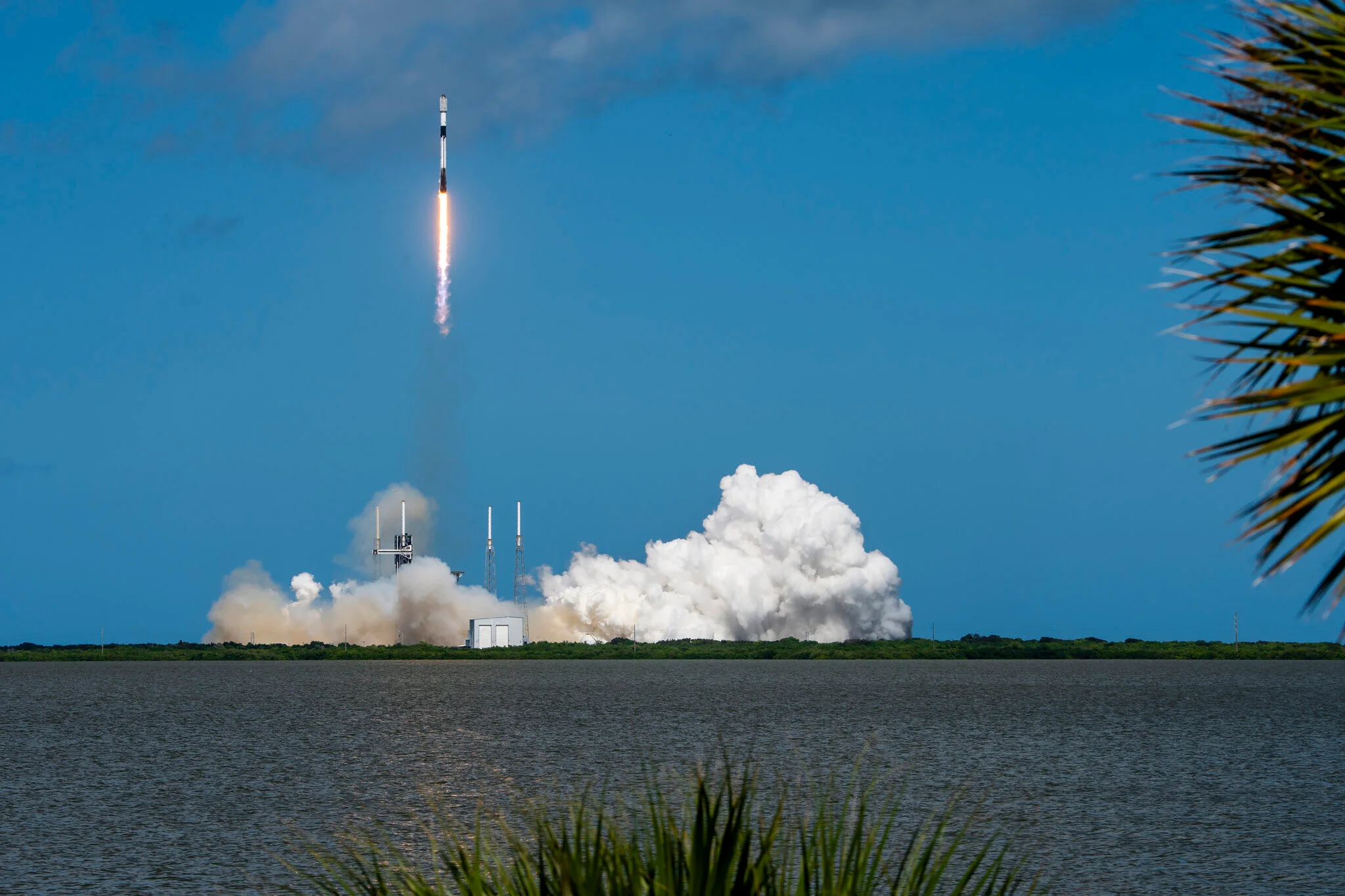 Starlink SpaceX uydu Falcon