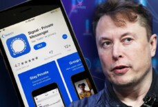 Elon Musk ve Signal Arasında Güvenlik Tartışması Kızıştı!