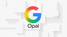 Google Opal Türkiye’de Neden Kullanıma Sunulmadı?