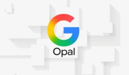 Google Opal Türkiye’de Neden Kullanıma Sunulmadı?